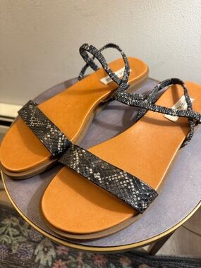 Steve Madden Snake-Print Strappy Flat Sandals in Black